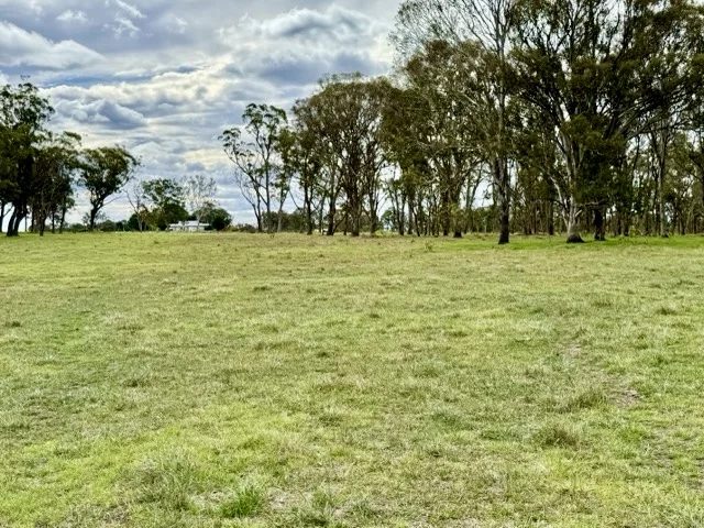5440 Mount Lindesay Road, Liston NSW 2372