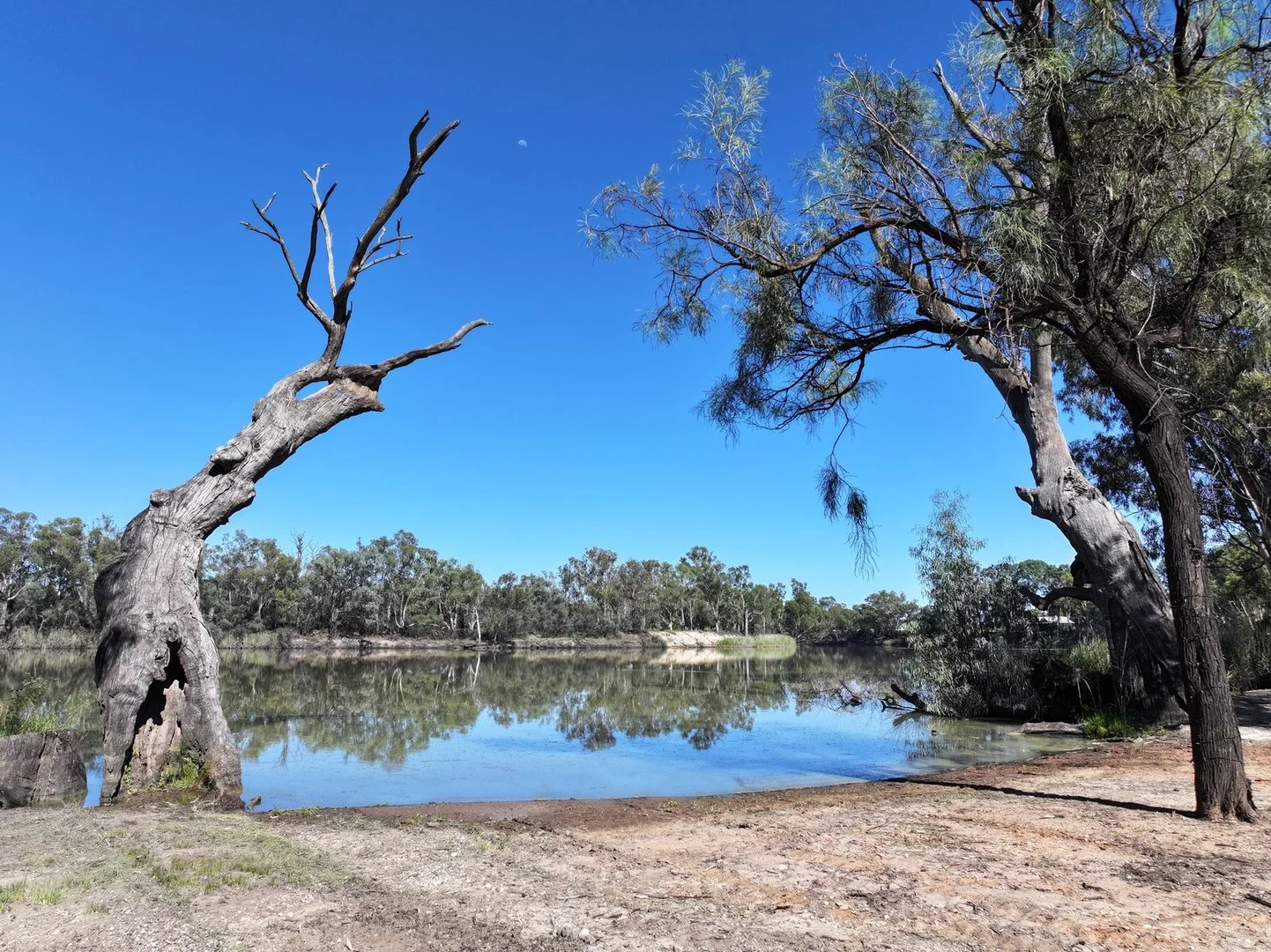 Lot 2 / 5669 Sturt Highway, Monak NSW 2738