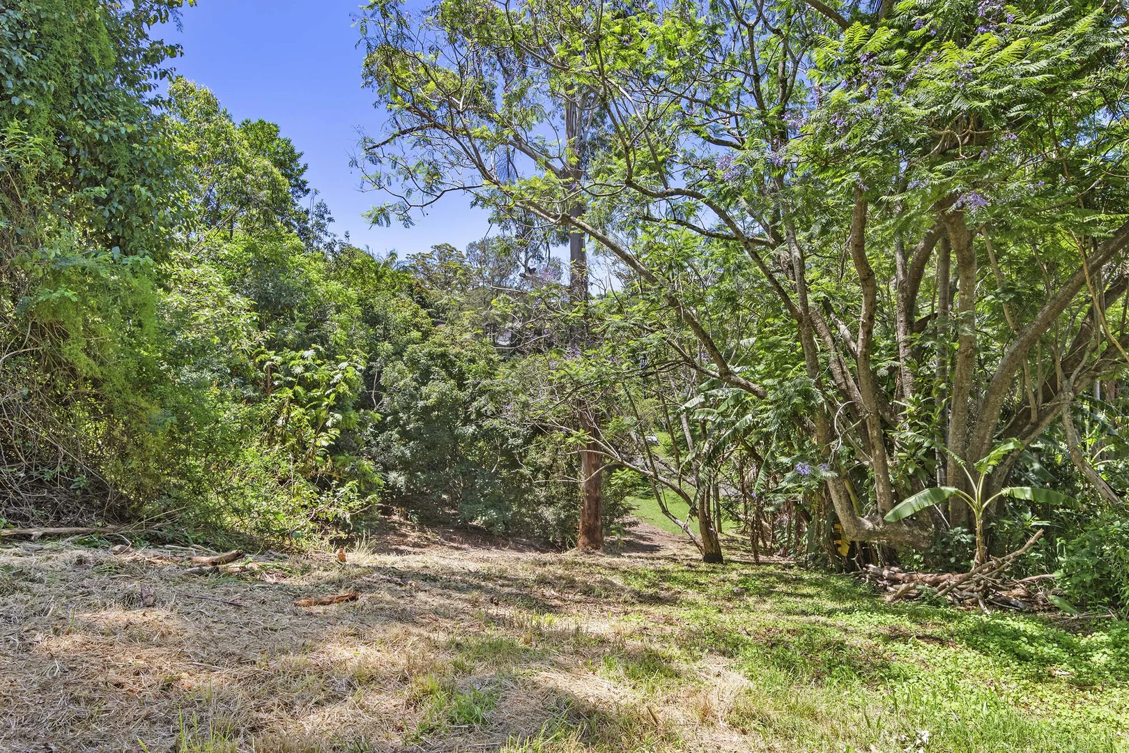 Additional image 7 of Tamborine Mountain QLD 4272
