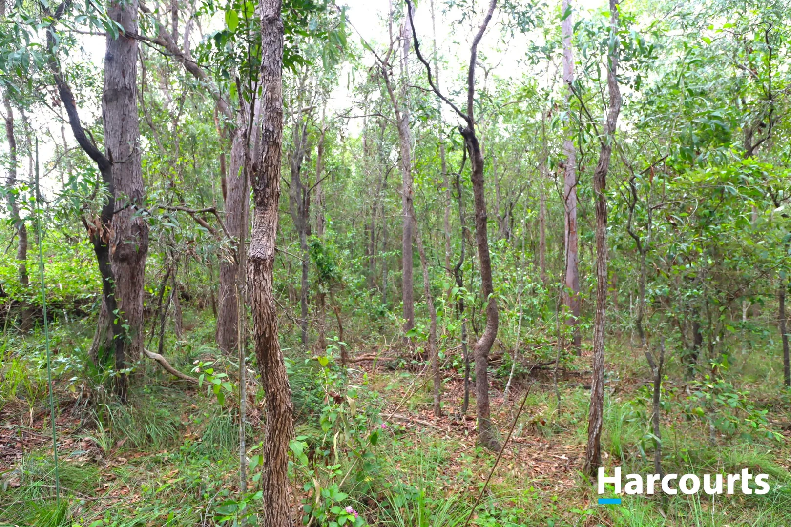 Additional image 7 of Lot 52 Tardas Road, Gregory River QLD 4660