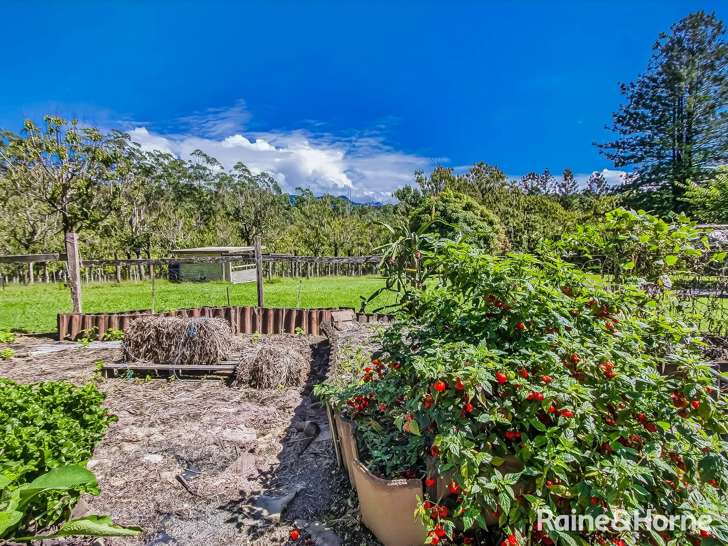 Additional image 30 of 3221 Kyogle Road, Mount Burrell NSW 2484