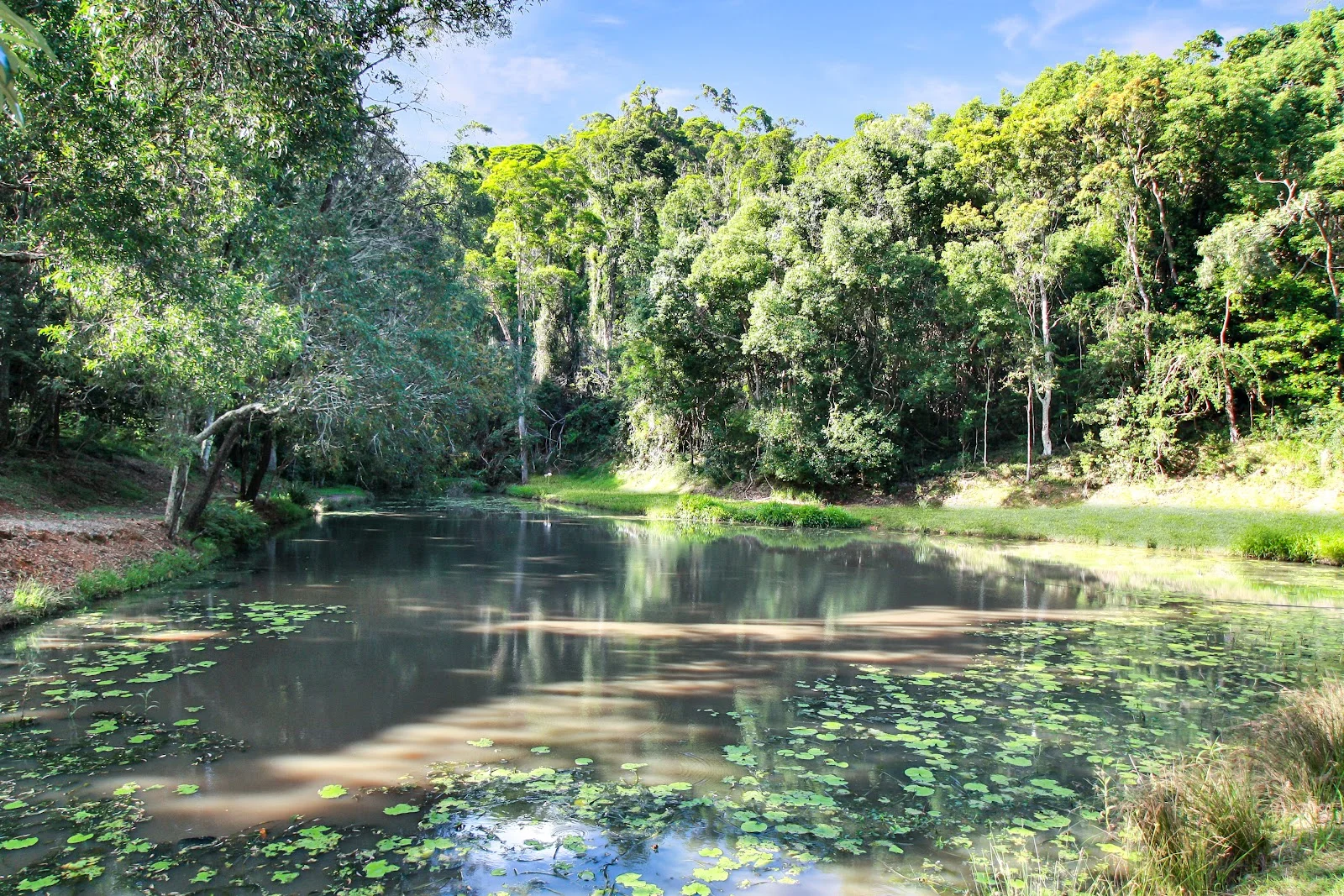 Additional image 19 of 32/400 Ruffles Road, Willow Vale QLD 4209
