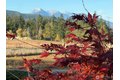 Additional image 37 of 2270 S 7th Ave, Sequim, WA, 98382