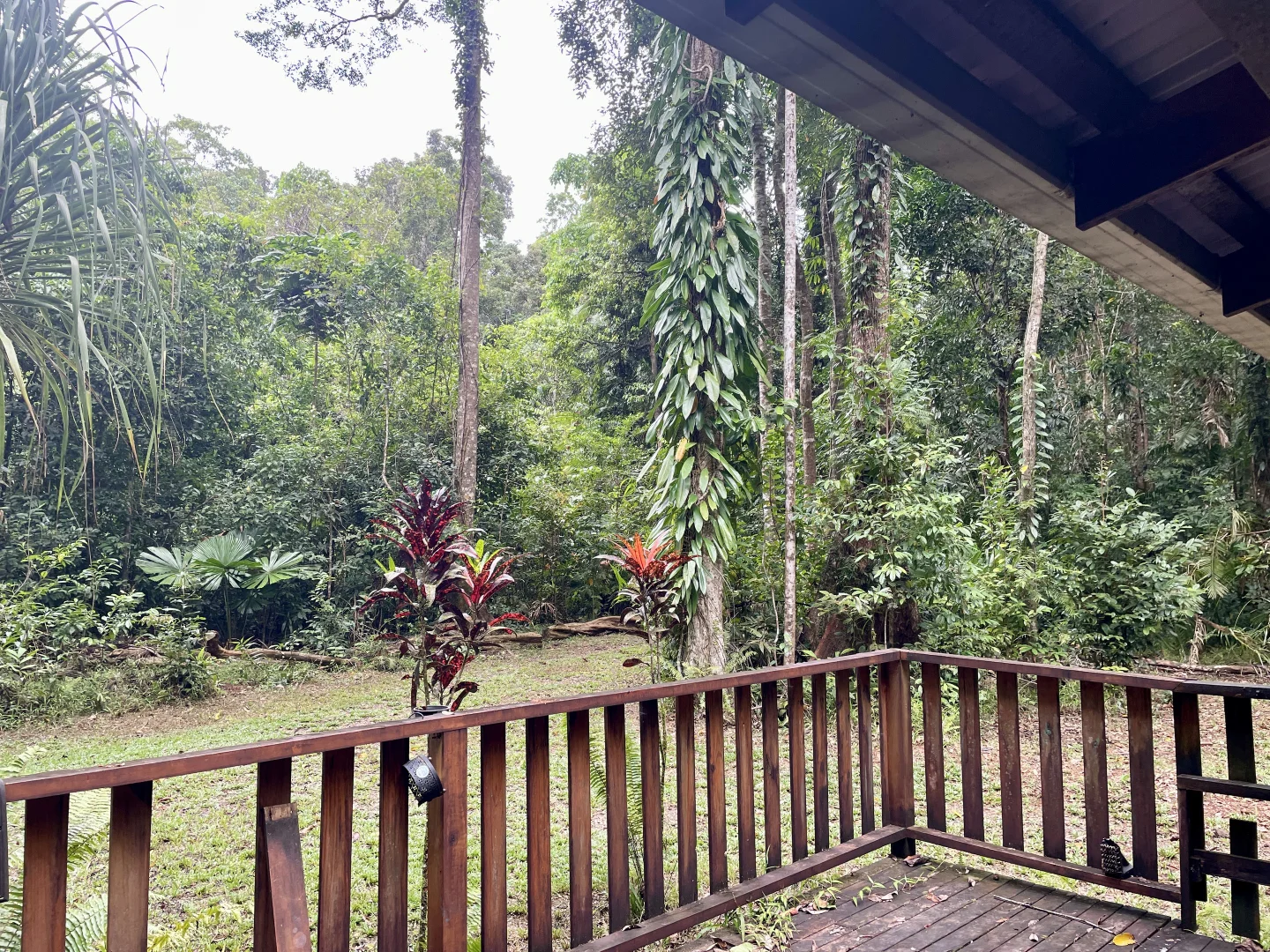 Additional image 2 of Lot 460 Black Bean Road, Daintree QLD 4873