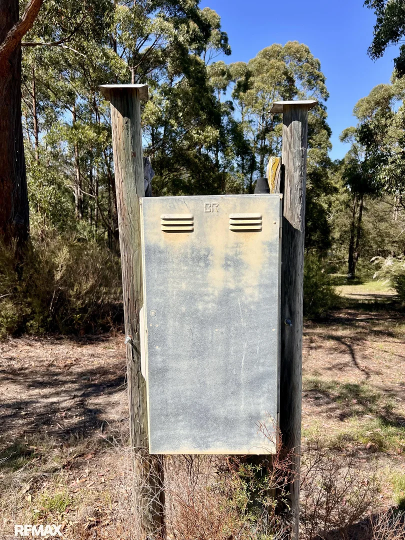Additional image 23 of 20 Woodland Court, Tambo Upper VIC 3885
