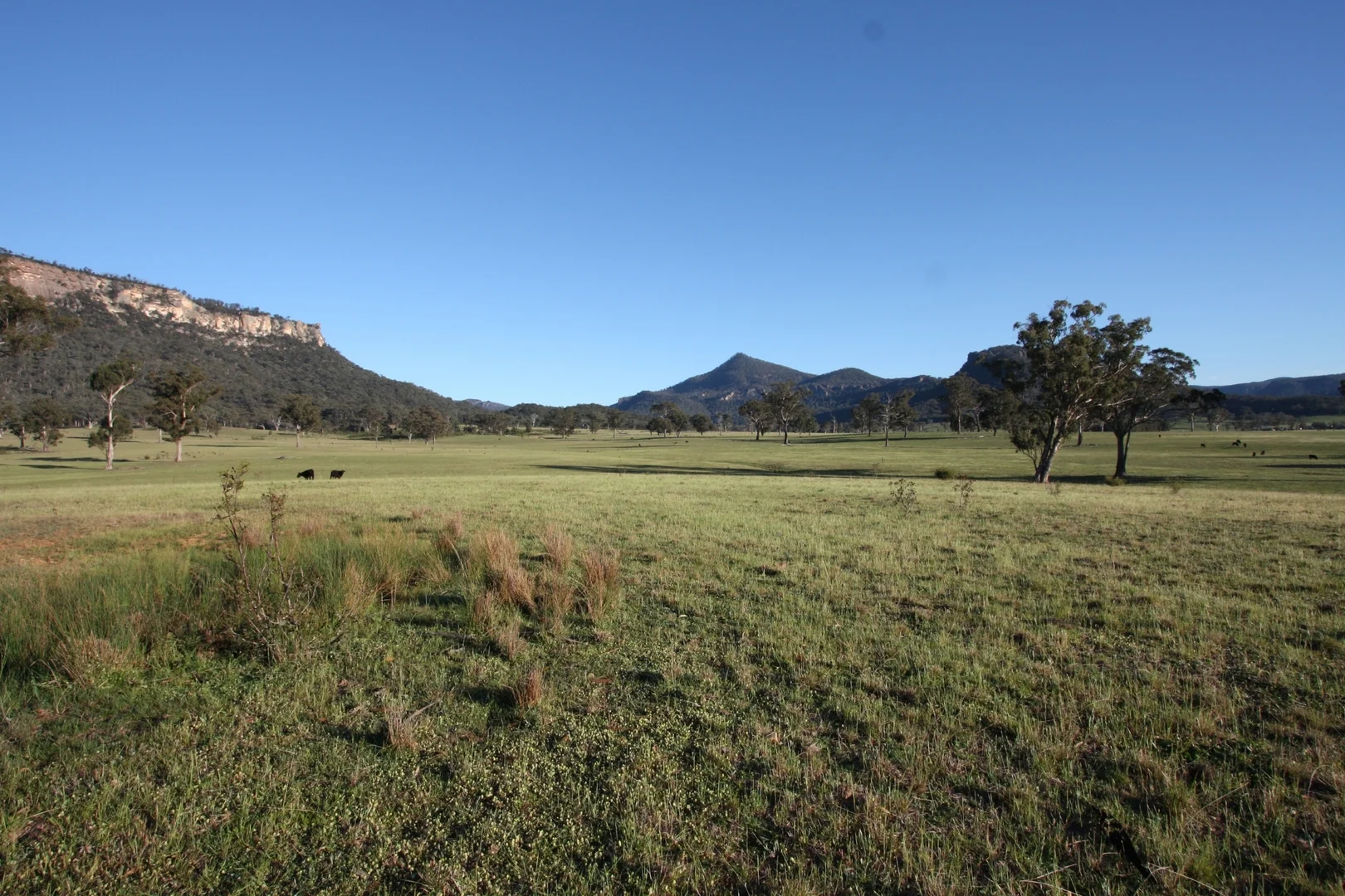 Additional image 19 of 429 & 503 Upper Nile Road, Rylstone NSW 2849