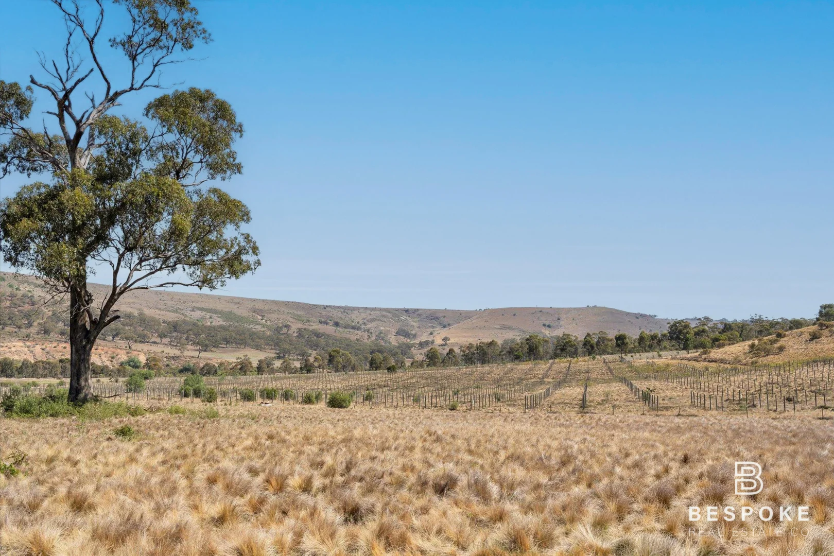 Additional image 25 of 54 Dicksons Road, Pentland Hills VIC 3341