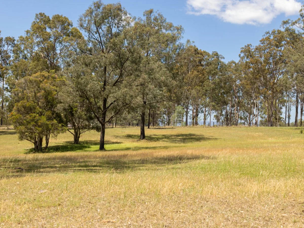 Additional image 11 of 98A Wollemi Peak Road, Bulga NSW 2330
