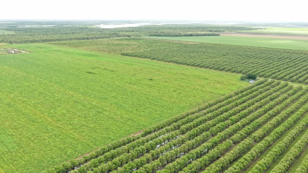 Additional image 9 of 3 Comiskey Road, Giru QLD 4809