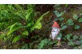 Additional image 66 of 5 Viox Way, San Rafael, CA, 94901