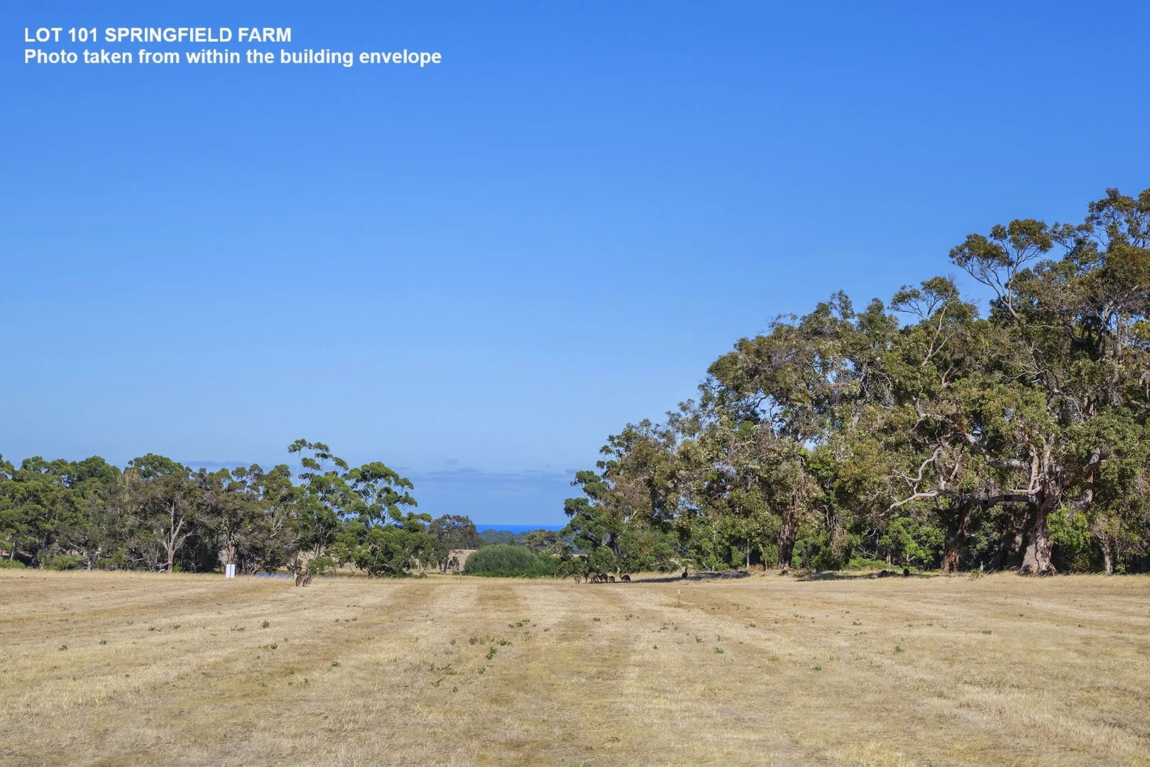 Additional image 2 of Lot 101 Springfield Farm, Yallingup WA 6282