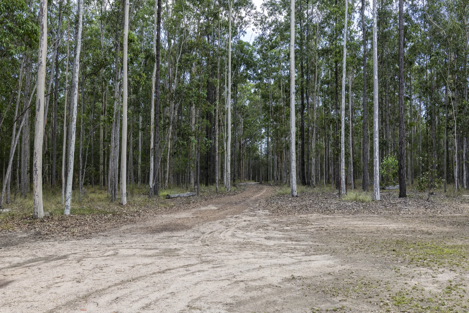Additional image 4 of 95 Sunnyside Road, Pillar Valley NSW 2462