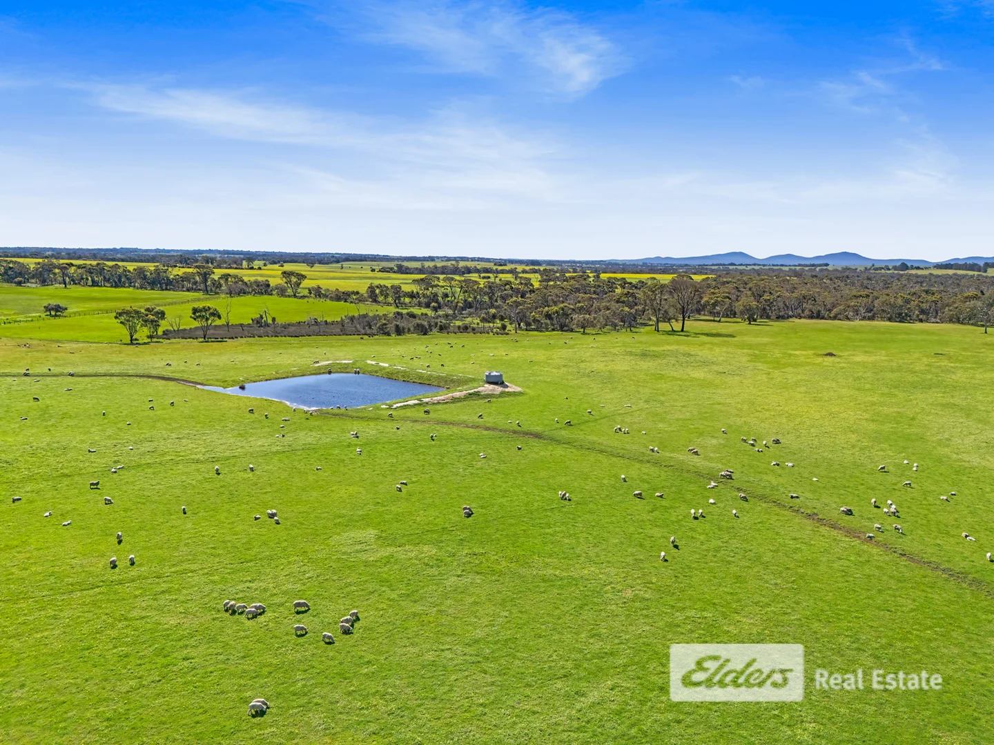 Additional image 10 of 101 Riches Road, Mount Barker WA 6324