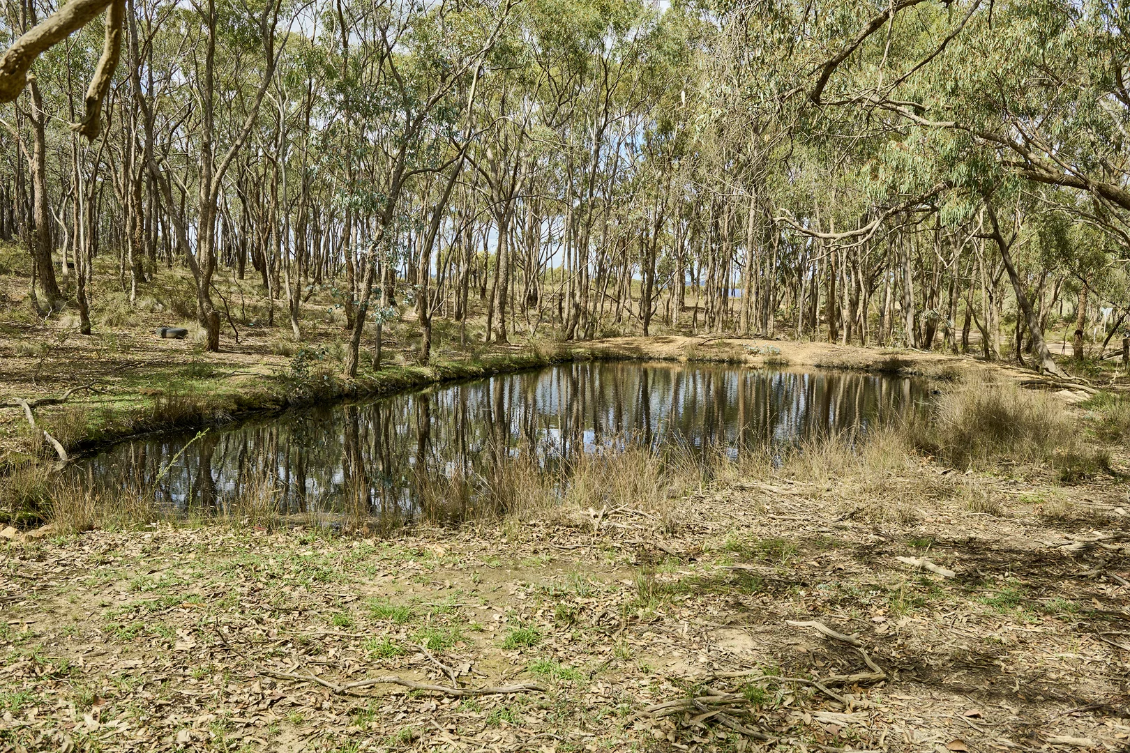555 Dairy Flat Road, Heathcote VIC 3523 photo 4