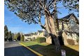 Additional image 13 of 20310 Bothell Everett Hwy, Bothell, WA, 98012