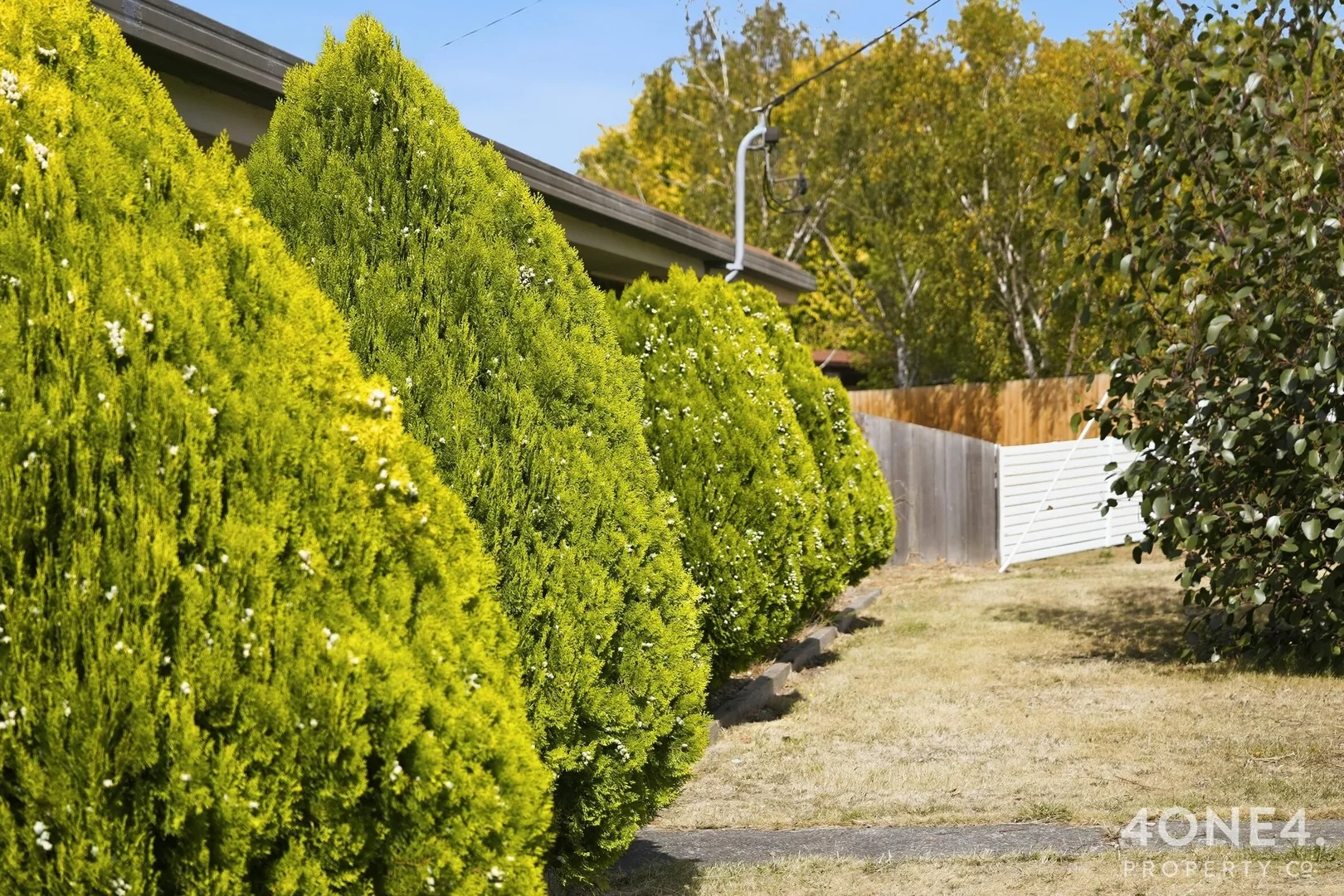 Additional image 19 of 2 Horfield Court, Bagdad TAS 7030