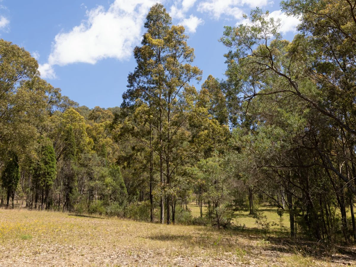 Additional image 9 of 98A Wollemi Peak Road, Bulga NSW 2330