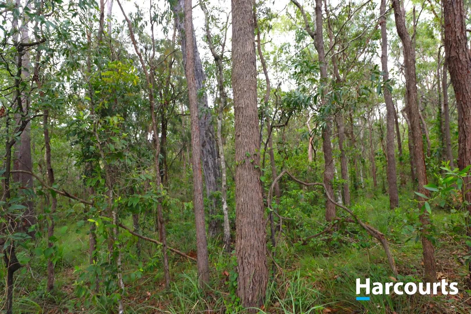 Additional image 4 of Lot 52 Tardas Road, Gregory River QLD 4660