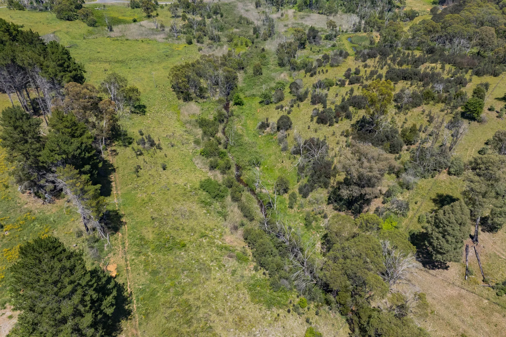 Additional image 18 of 107 Mill Road, Batlow NSW 2730