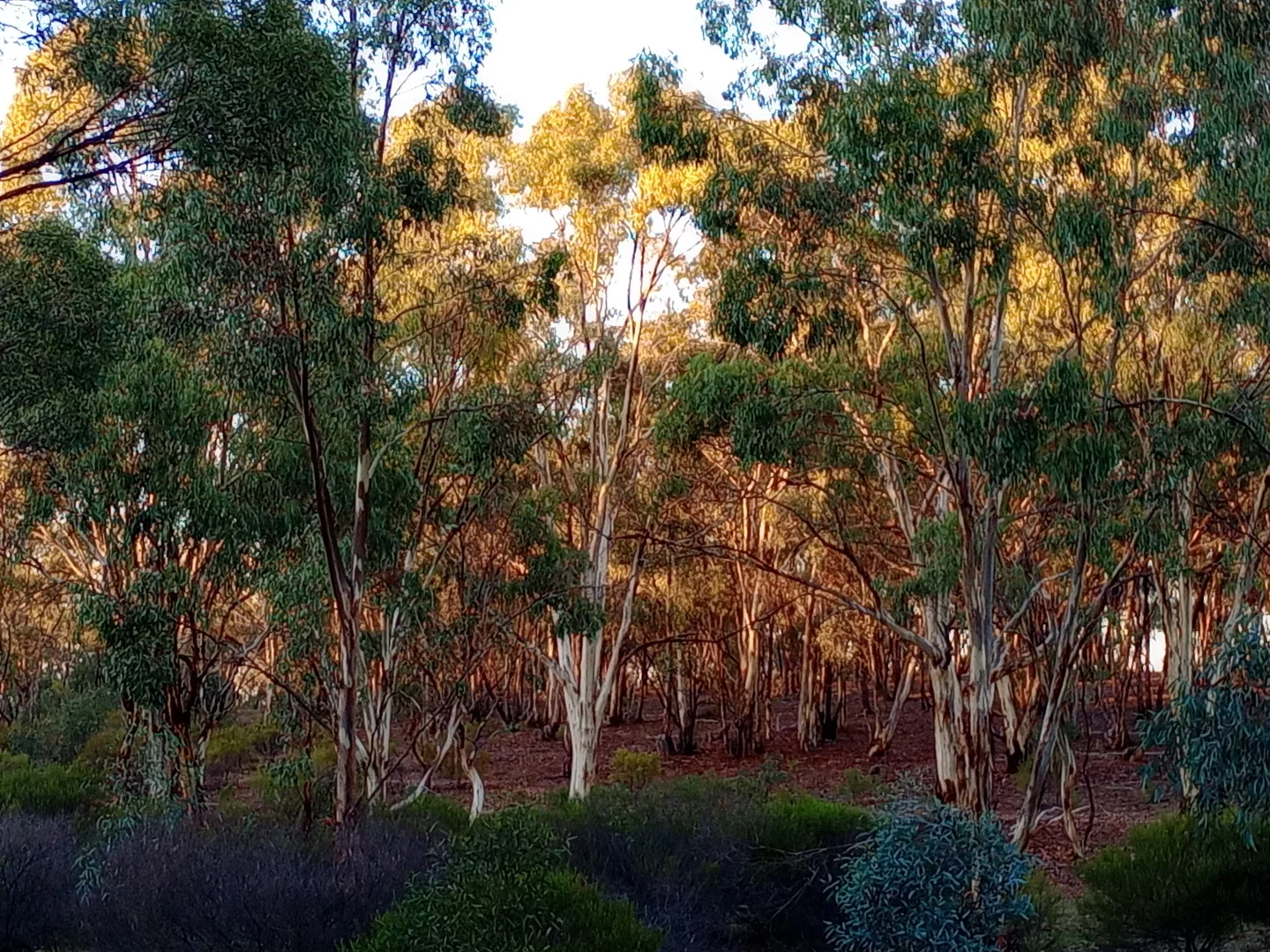 Additional image 20 of Wedderburn VIC 3518