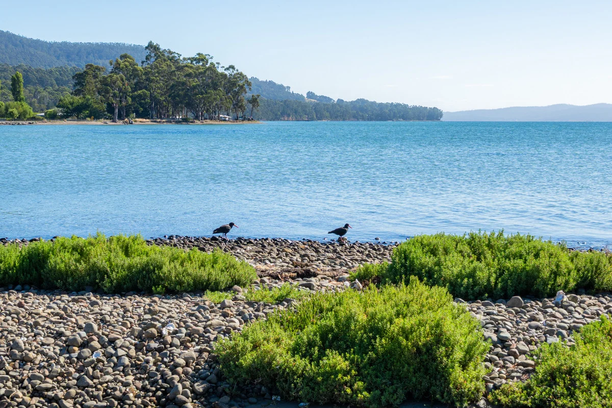 Additional image 19 of 4854 Channel Highway, Gordon TAS 7150