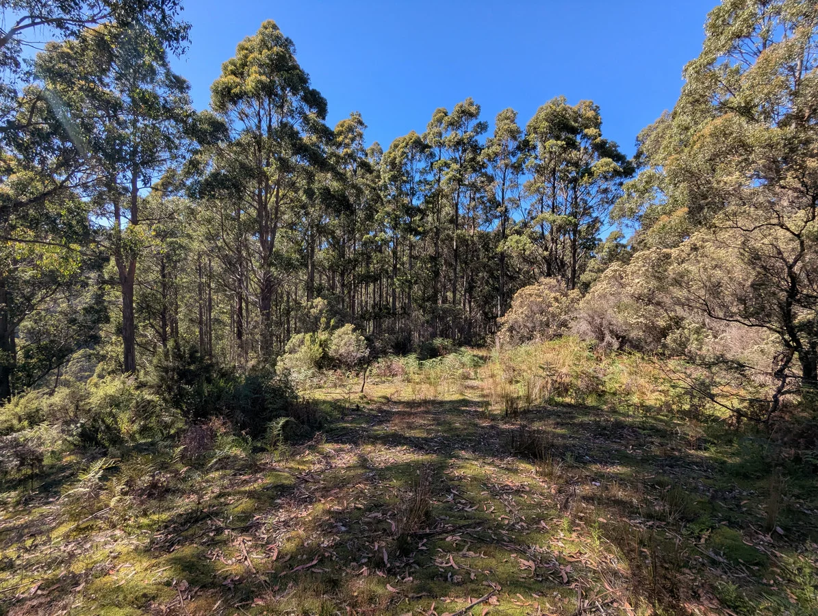 Additional image 3 of 3 Nicholls Rivulet Road, Nicholls Rivulet TAS 7112