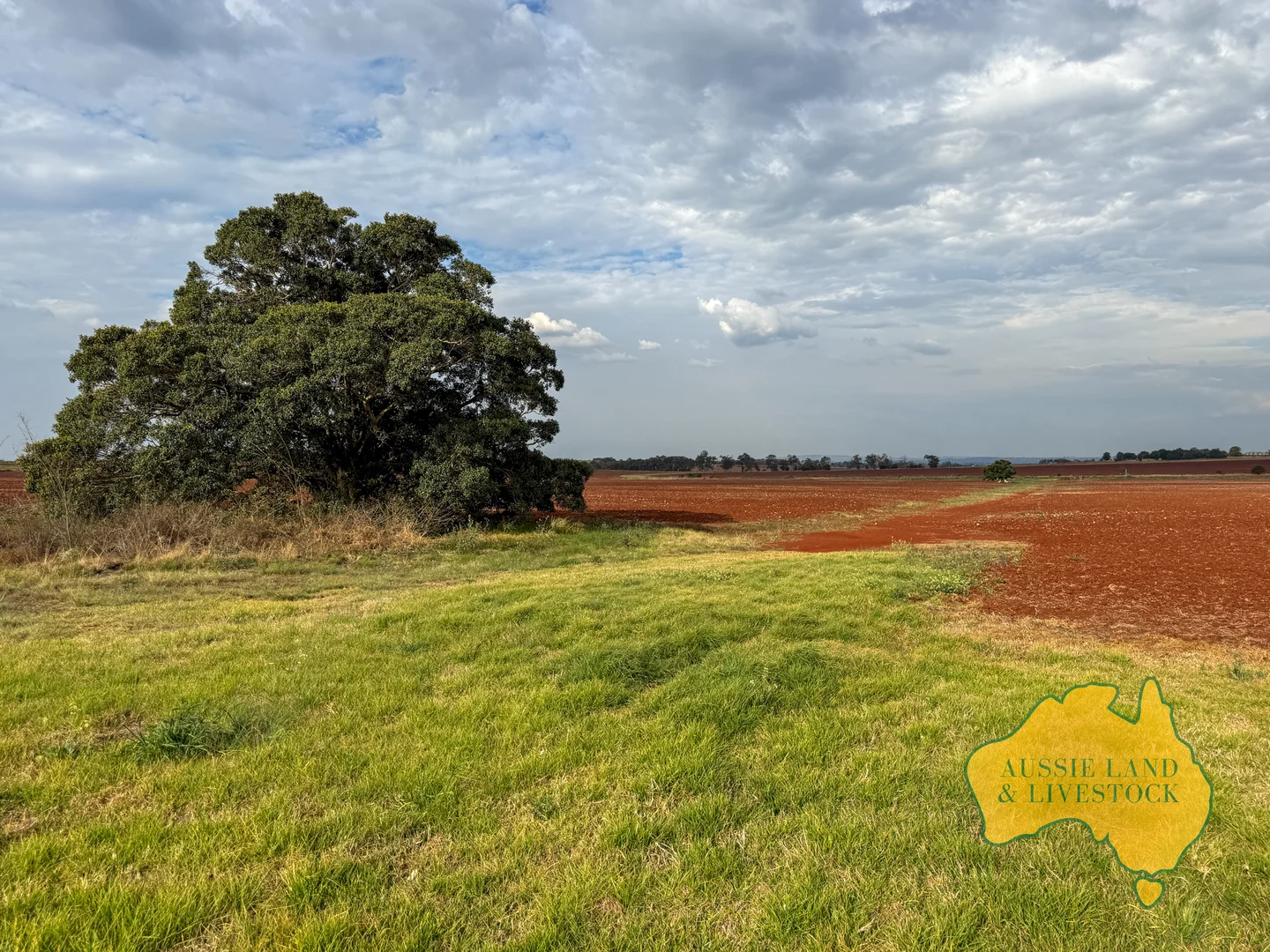 Additional image 30 of 716 Reedy Creek Road, Benair QLD 4610