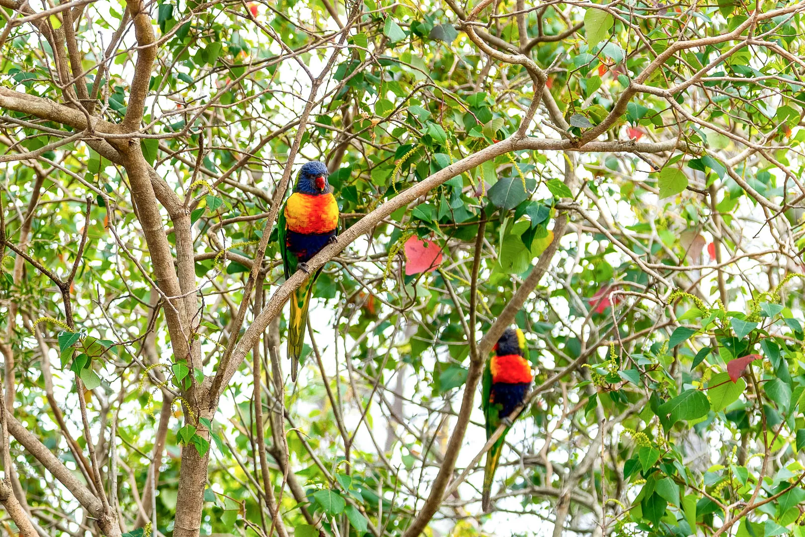 Additional image 16 of 2 Apple Berry Place, North Batemans Bay NSW 2536