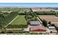 Additional image 97 of 20592 Ayers Rd, Escalon, CA, 95320