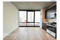 Additional image 33 of 51 E 14th St Unit 1-801, Chicago, IL, 60605