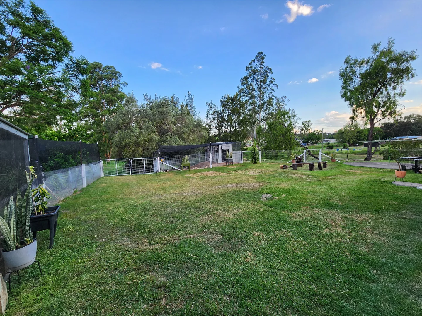 Additional image 3 of 6 Parkridge Drive, Withcott QLD 4352