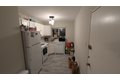 61 Selkirk Rd Apt 5, Boston, MA, 02135