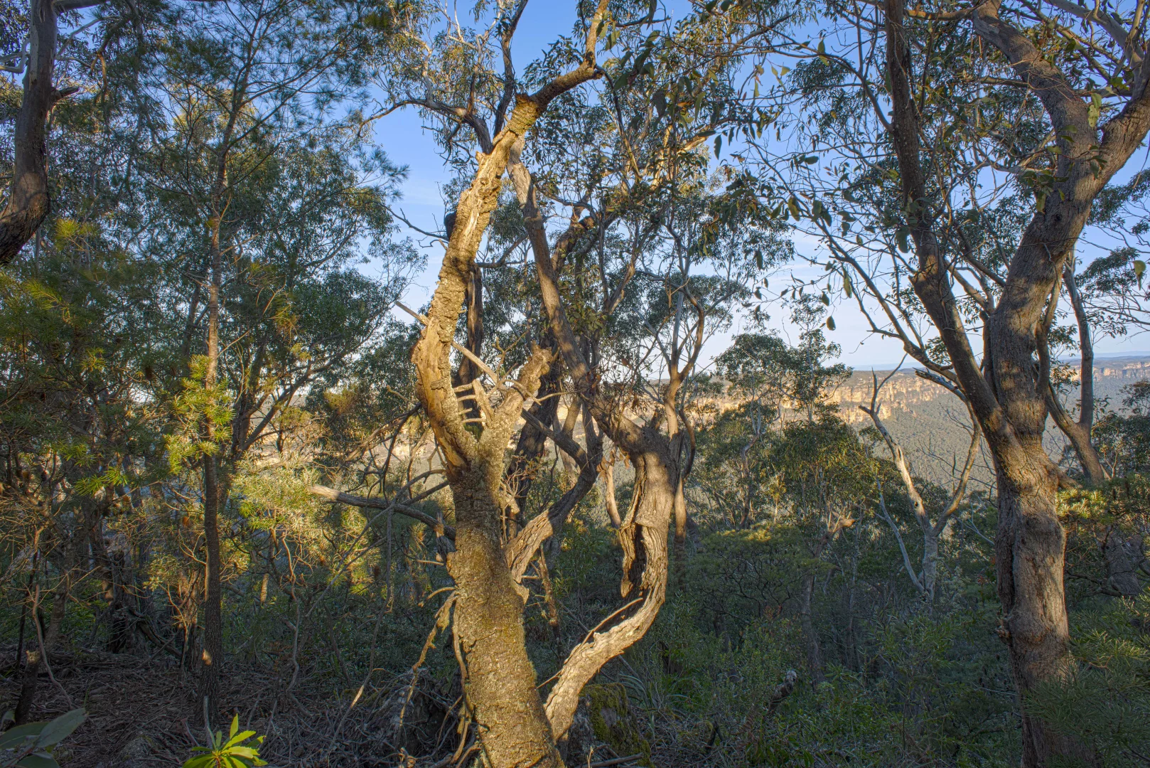 Additional image 8 of 114 Sublime Point Road, Leura NSW 2780