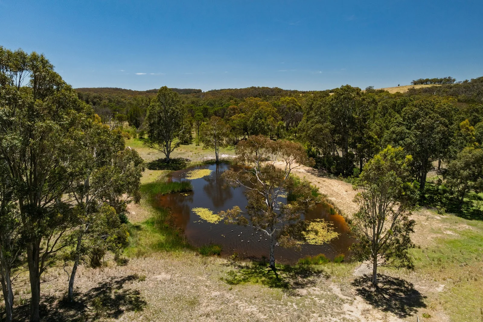 Additional image 22 of 629 Kooringaroo Road, Gundary NSW 2580
