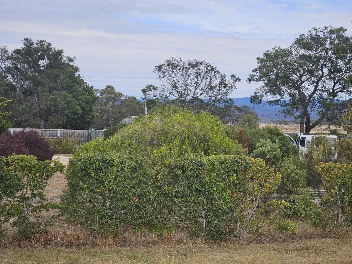 Additional image 23 of 14235 Tasman Highway, Swansea TAS 7190