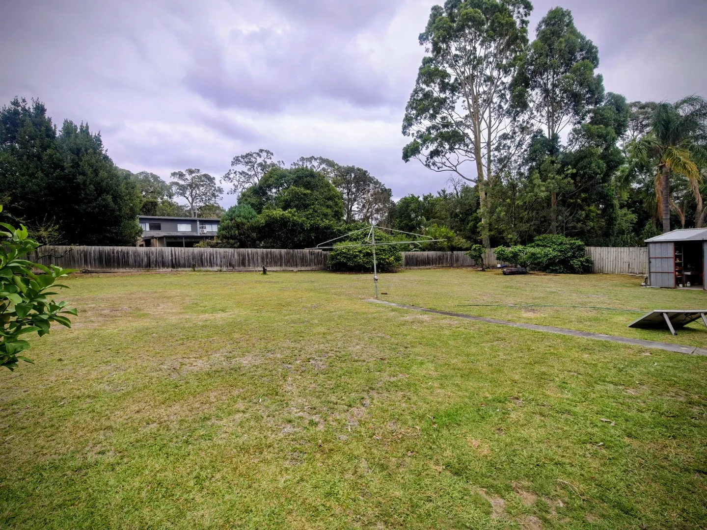 Boronia VIC 3155 photo 2