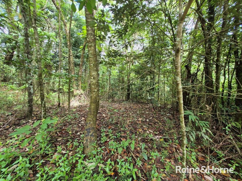 Additional image 7 of Lot 18 George Road, Forest Creek QLD 4873