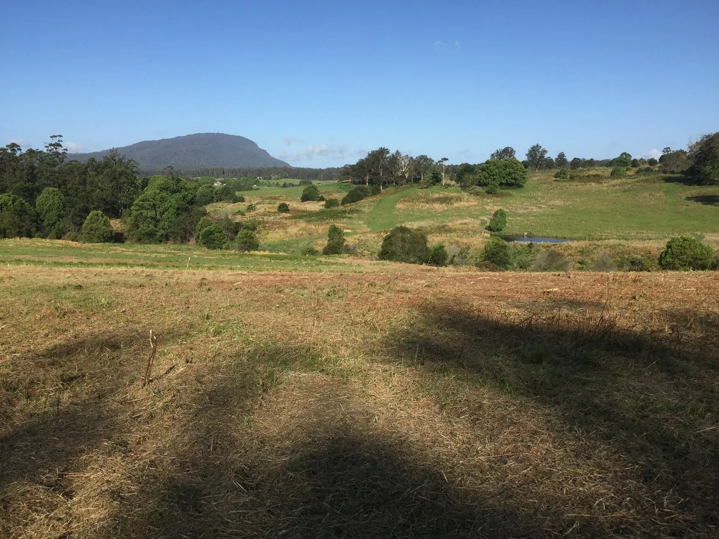 Additional image 9 of 45 Moores Lane, Eungai Creek NSW 2441