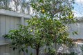 6143 Wisteria St, Simi Valley, CA, 93063 photo 4