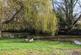 Additional image 15 of Molesey Park Road, East Molesey, Surrey KT8
