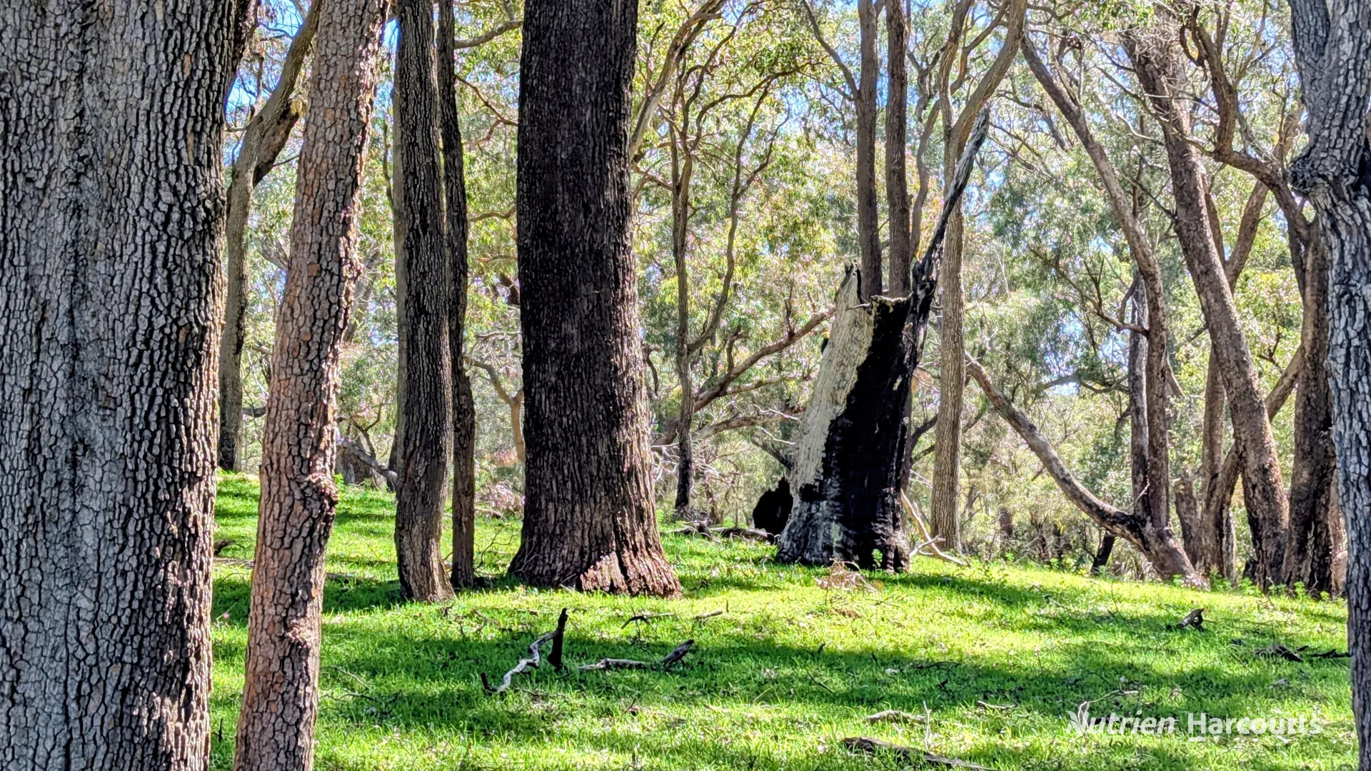 Additional image 10 of Lot 52 & 53 Cowalla Road, Cowalla, Gingin WA 6503