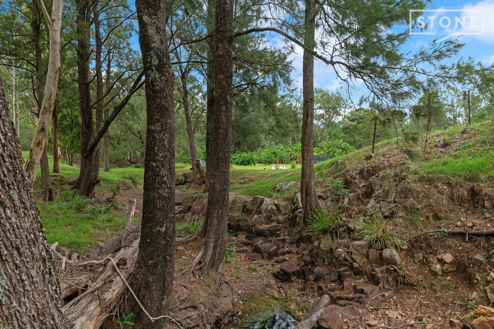 Additional image 14 of 121 Black Rock Road, Martins Creek NSW 2420