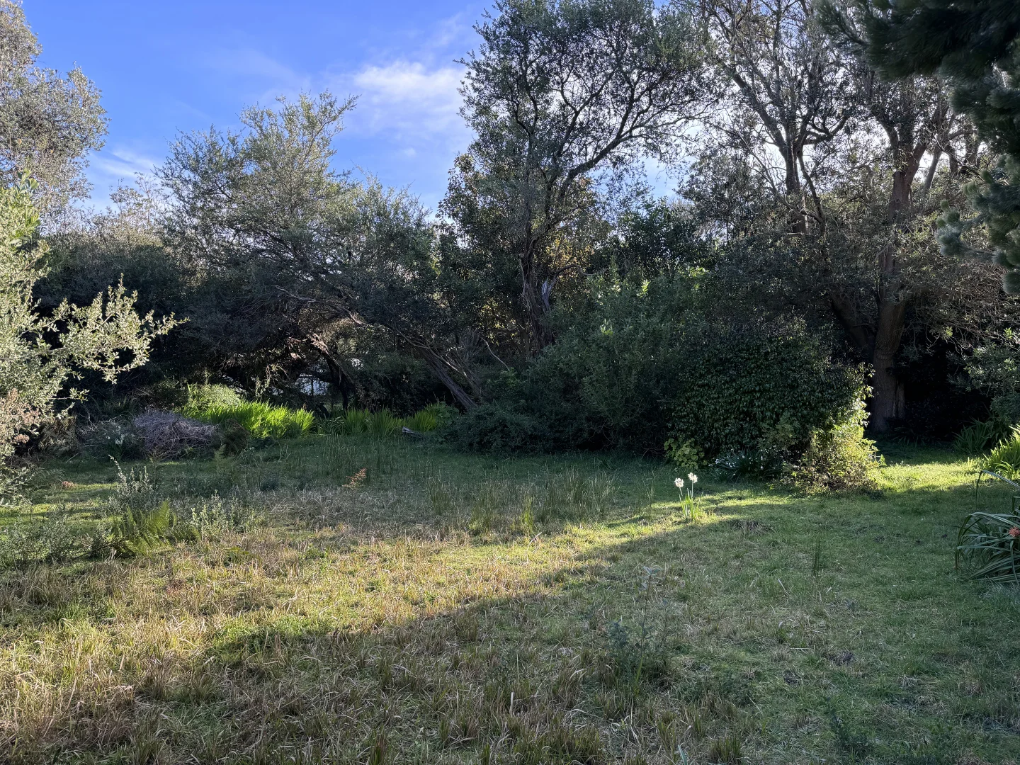 Additional image 4 of 123 Atherton Drive, Venus Bay VIC 3956