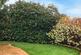 Additional image 25 of Canisp Close, Chadderton, Oldham, OL9