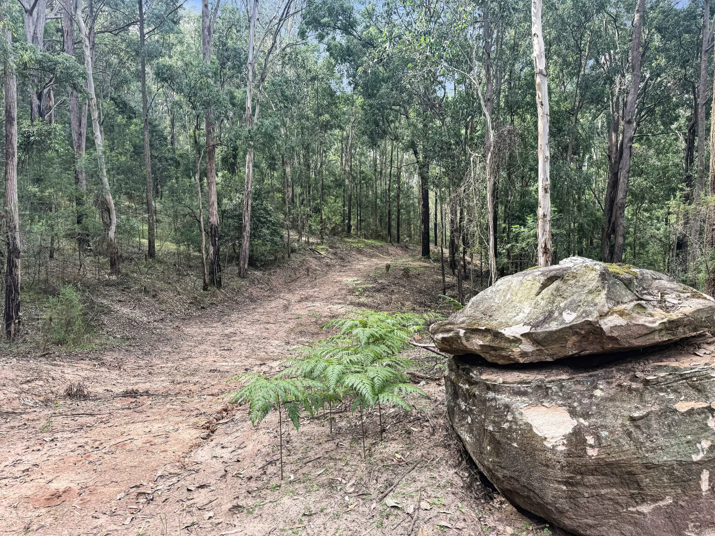 Additional image 13 of 112 Finchley Track, Laguna NSW 2325