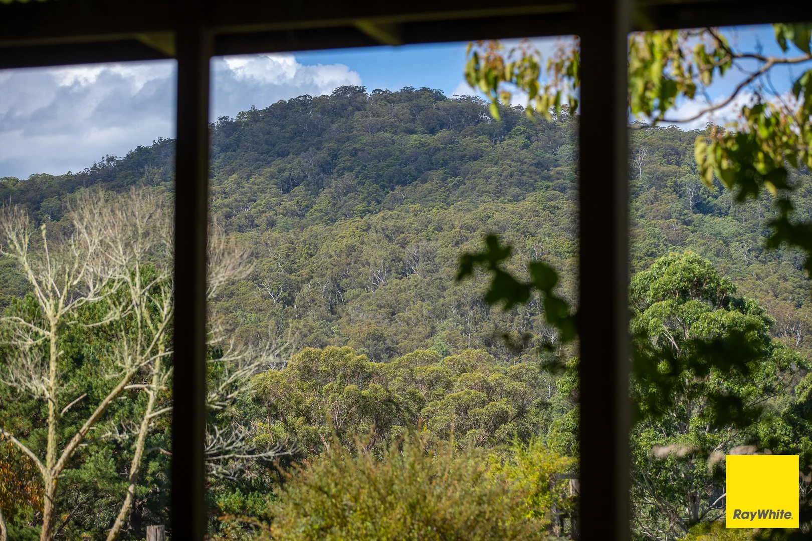 Additional image 13 of 126 Cross Street, Dorrigo NSW 2453