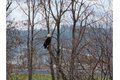 Additional image 10 of 2142 S River Rd, Kelso, WA, 98626