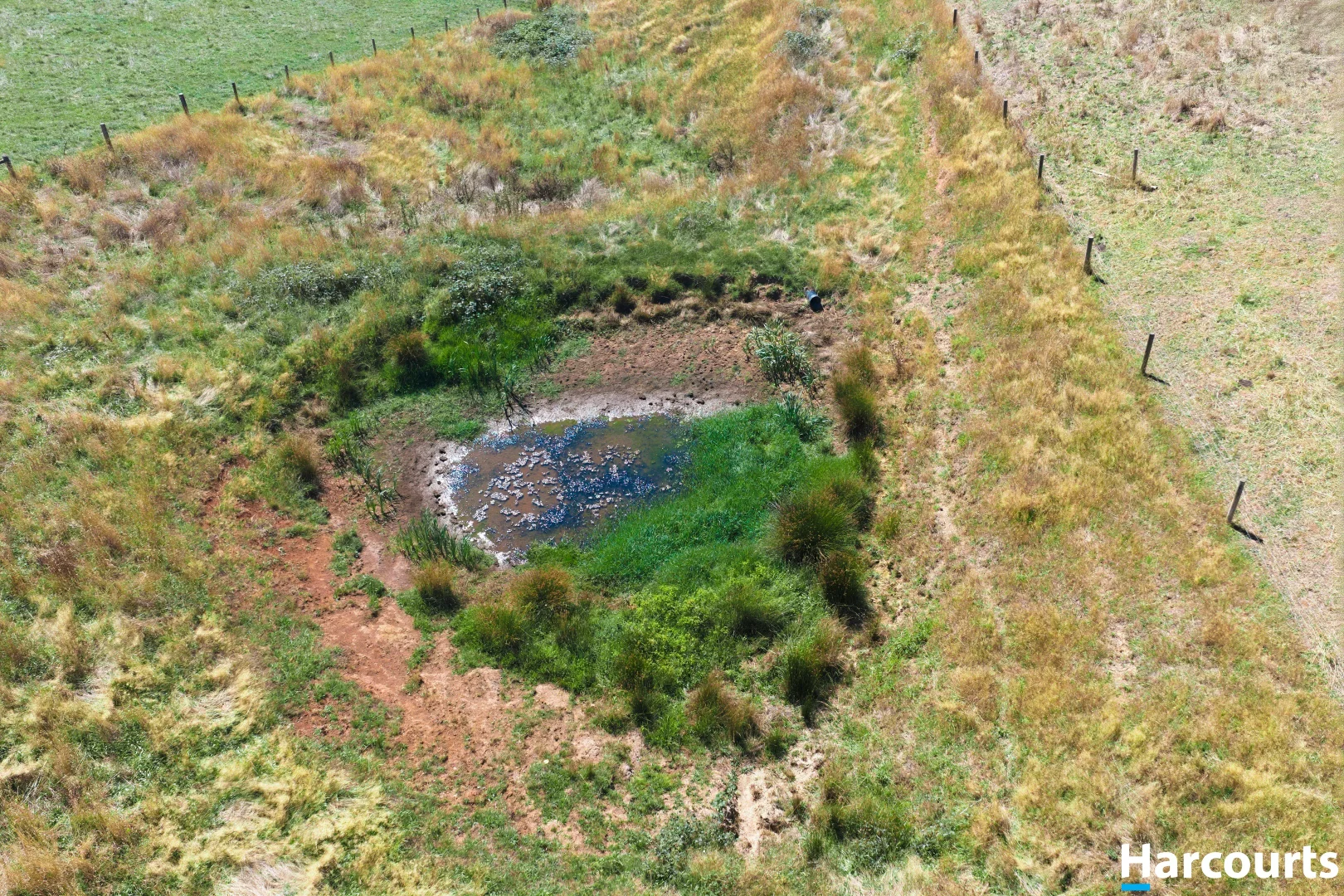 Additional image 35 of 8 Stubbers Lane, Mirboo North VIC 3871
