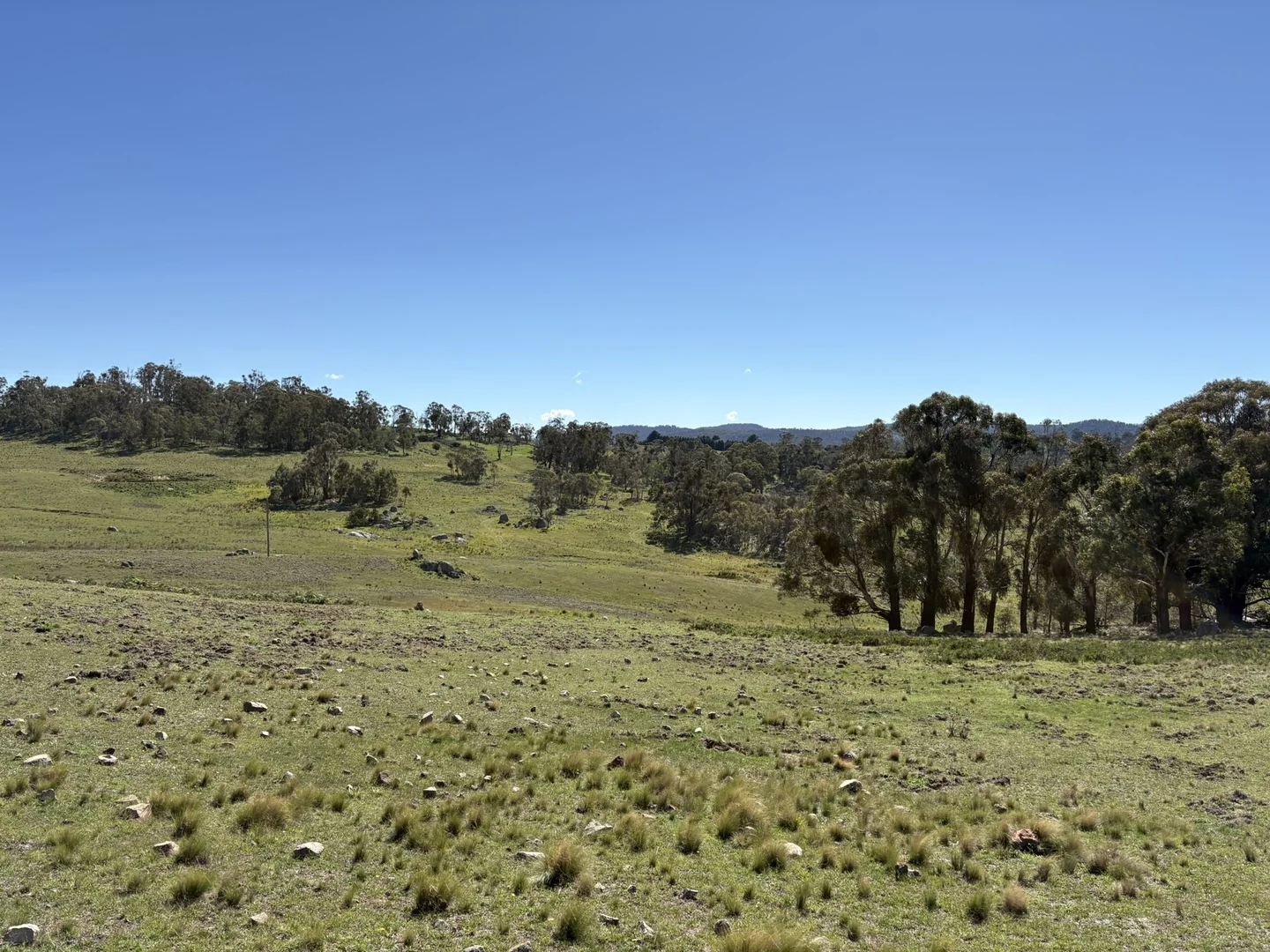 Additional image 10 of Lot 125/125, 175 Tumbledown Road, Peak View NSW 2630