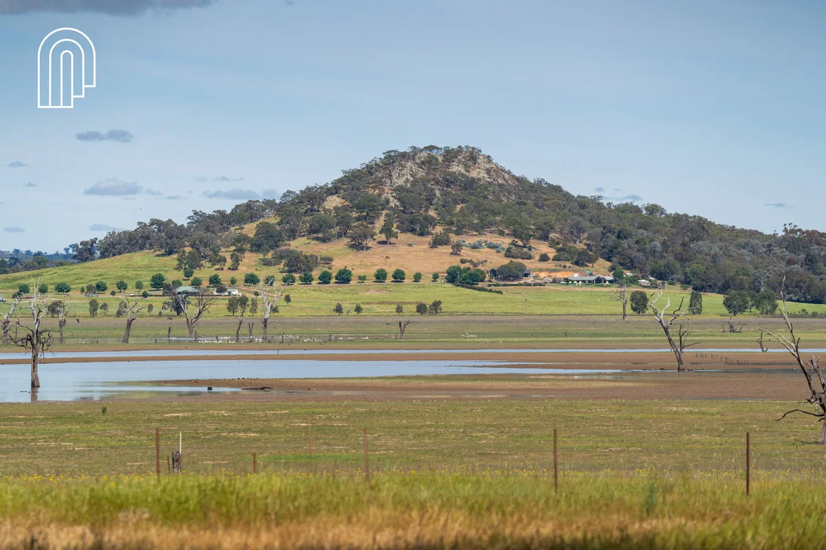 Additional image 32 of 276 Kiley Road, Table Top NSW 2640
